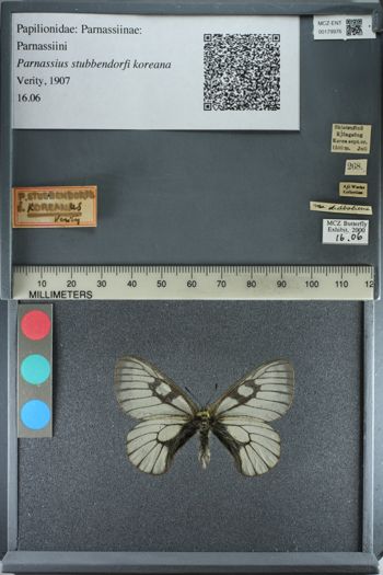 Media type: image;   Entomology 179976